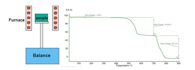 热重分析（TGA）